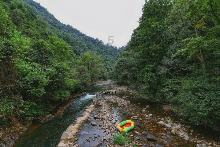 脑洞小老弟无实名认证